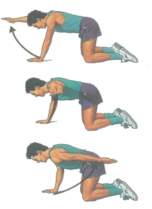 exercises to combat neck pain